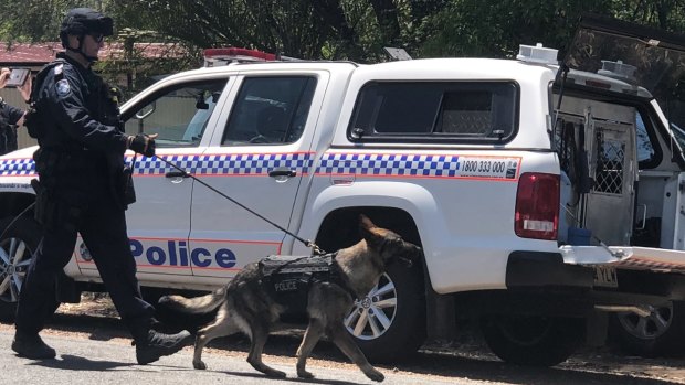 The dog squad tracked the teenagers to nearby Warnambul Road. (File image)
