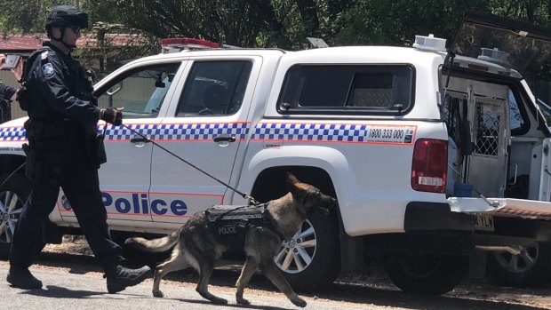 Dog squad catches teens after Bruce Highway joyride