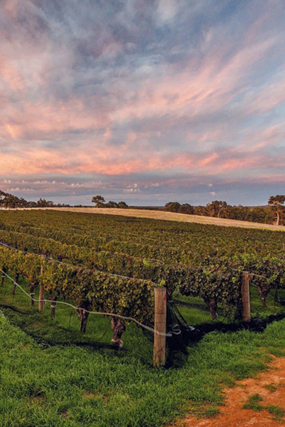 Australia’s 52 top wineries of 2022