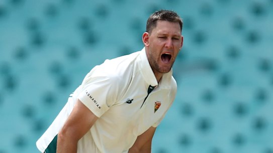 In the frame: Tasmanian all-rounder Beau Webster could replace Mitch Marsh for the Adelaide Test.