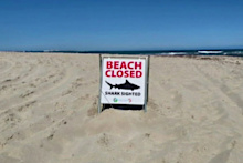 A portion of Glenfield Beach has been closed following the incident.