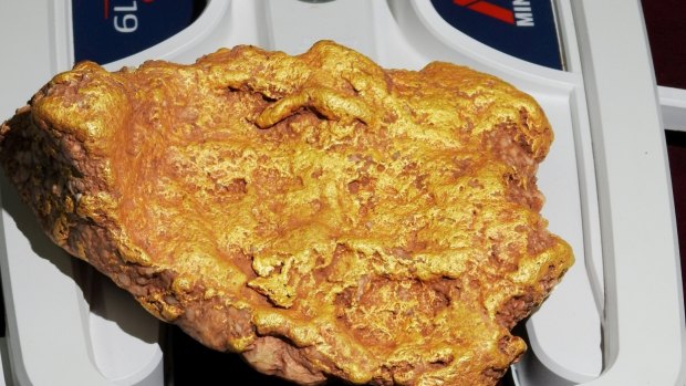 The gold nugget, 'duck's foot' found in remote WA.