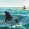 Serial killers with a fin: ‘Sharknado effect’ produces a surge in killer shark films