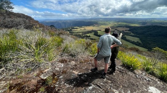 Hikers will have greater access to the Dorrigo National Park Gondwana Rainforest as the NSW government announces a new $56 million walk.