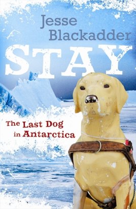 Stay: The Last Dog in Antarctica by Jesse Blackadder.