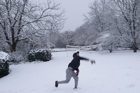 Snow blankets a tree farm at Canyonleigh in the Southern Highlands on Tuesday. 