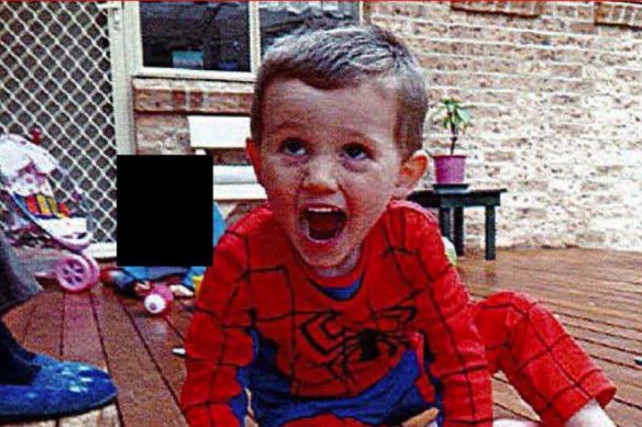 William Tyrrell disappeared in 2014.