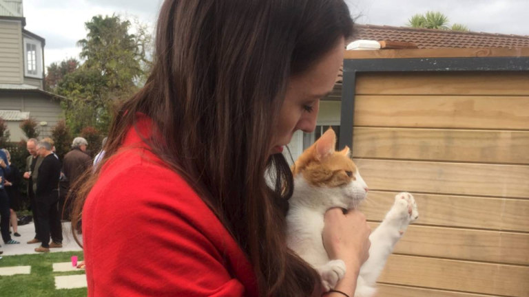 Confession I Killed Prime Minister Jacinda Ardern S Cat Paddles