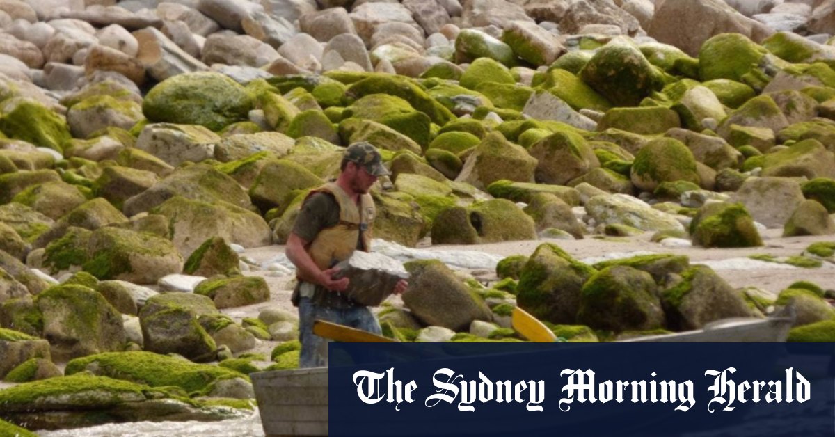 Trio accused of stealing 23 million-year-old fossil with a saw and a rowboat