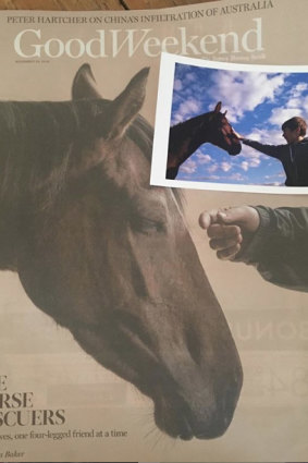 The horse rescuers. For the love of a horse #goodweekendmag.