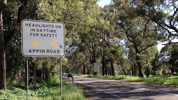 Appin Road cuts through the home of Sydney’s last chlamydia-free koala population.