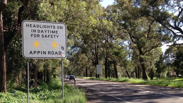 Appin Road cuts through the home of Sydney’s last chlamydia-free koala population.