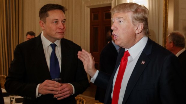 Peas in a pod? Elon Musk in February with Donald Trump.