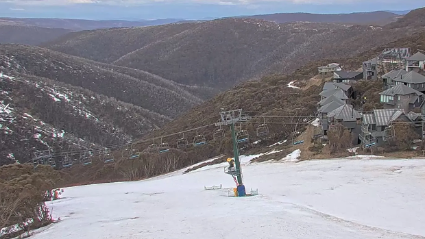 Snow cams at Hotham show a lack of snow coverage at the resort this week.