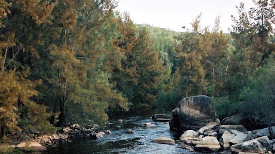 The company alleged took 1200 megalitres of water above its license allocation from the Gwydir River.