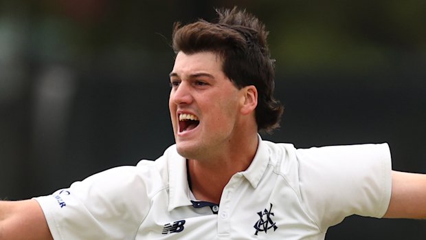 Victoria’s Sam Elliott took the big wicket of Alex Carey.