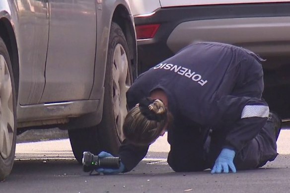 Police comb the scene for evidence where Paul Grapsas was found dead.