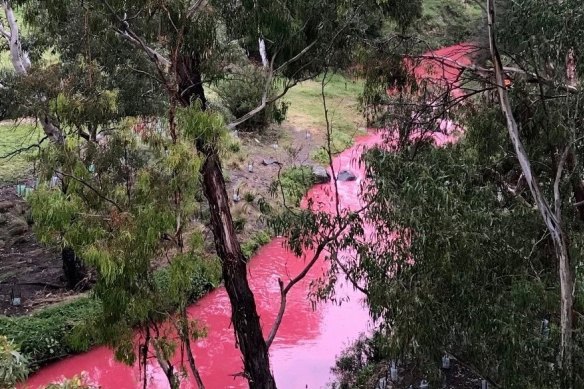 The EPA is investigating the pink pollution.