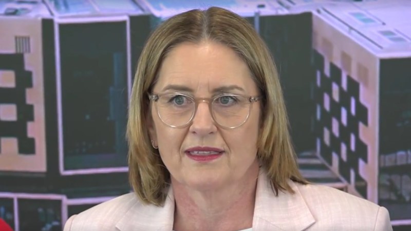 Former Victorian premier Jacinta Allan quits politics
