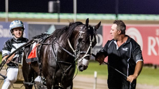 Tough hombre: Kevin Pizzuto leads  Tiger Tara back after a group 1 win at Menangle.