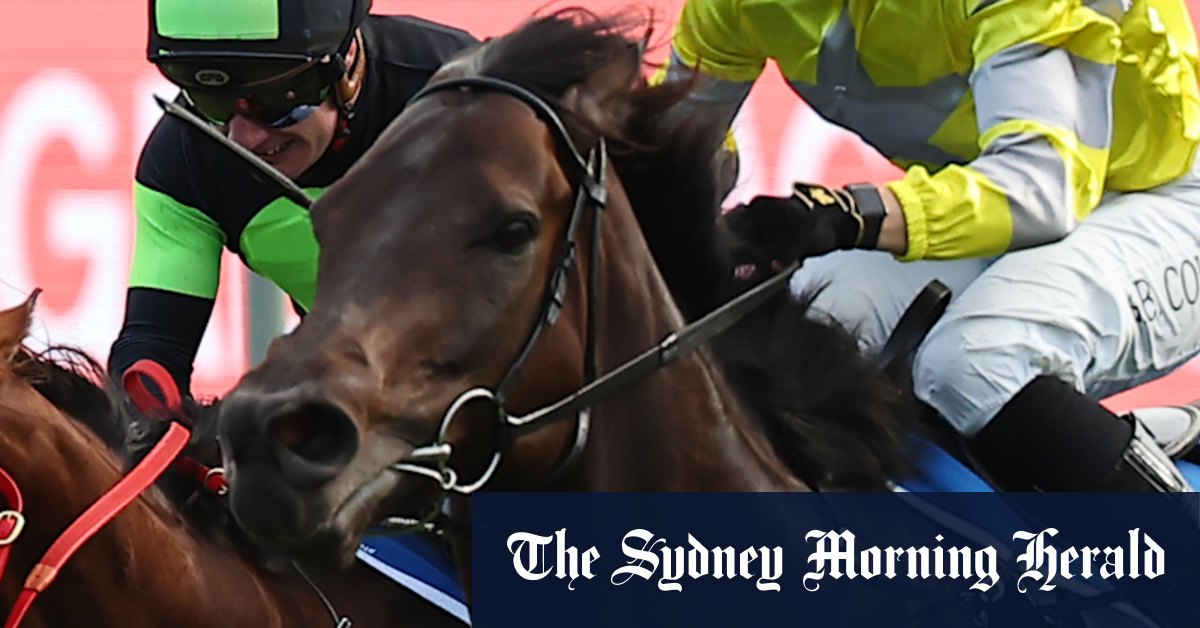 Rosehill Gardens Race Preview & Tips - Saturday - News Directory 3
