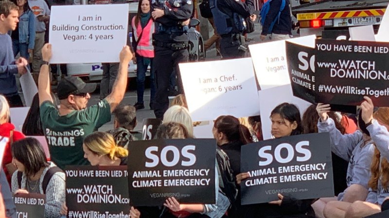 Part 1/2. Fur protest by vegan activists in Stockholm