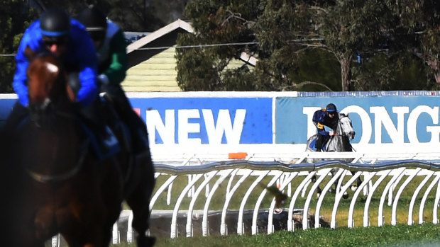 Long way back: Chautauqua chases the field at Rosehill on Tuesday.