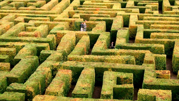 A huge maze is one of the ideas for Brisbane's Victoria Park, which is being closed as golf course in 2021 to be transformed.