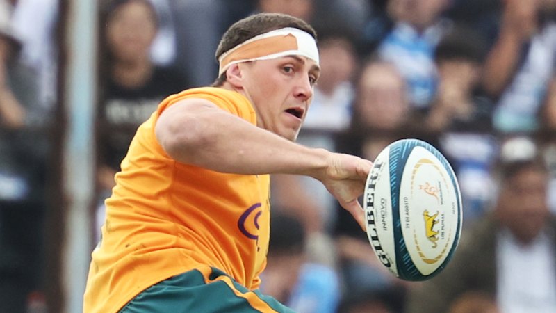 Wallabies show promise against Argentina as Josh Canham and Max Jorgensen stand out