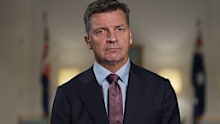 Angus Taylor said questions remain unanswered after Albanese’s AI Office announcement.