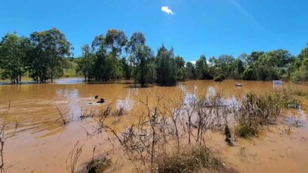 The 76-year-old man was found in his submerged vehicle at Paddy Gully Creek.