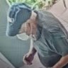 NSW Police have released an image of a man they believe to be involved in several explosions and a fire at legal offices in Gosford.