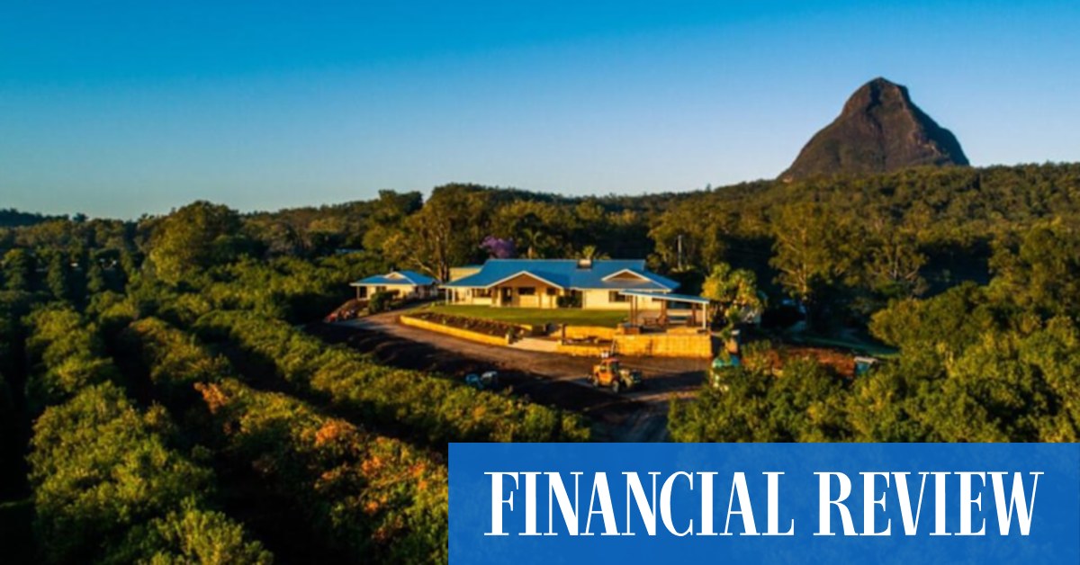 Rural property: Sunshine Coast macadamia farm joins summer listings - Vimarsana News