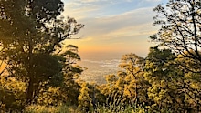 Burkes Lookout, Dandenong ranges