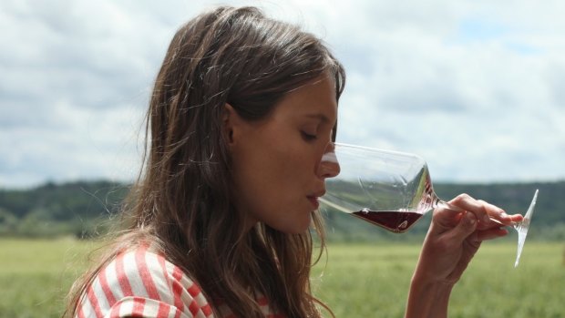 A still from the French movie Back to Burgundy in which a French wine making family fight with a neighbour over the use of chemical sprays.