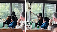 NSW woman wrangles ibis in restaurant