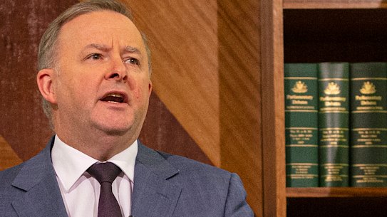 Shadow Treasurer Jim Chalmers (left) looks on as Opposition leader Anthony Albanese (right)