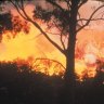 Western Power is again being accused of its power lines contributing to a bushfire.