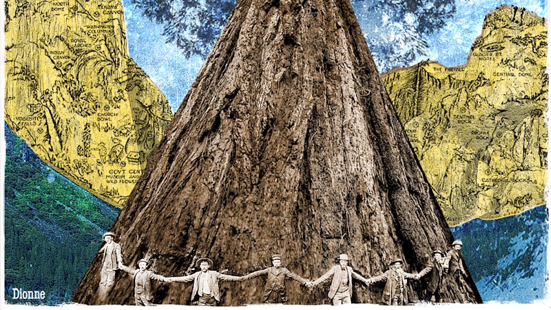 The dream trees of my childhood were calling. The abyss would have to wait