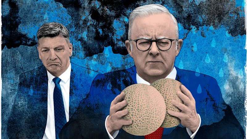 Commentary criticises Albanese’s political “radar” and warns against further mistakes