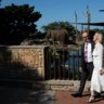 Roar, snore and marry: Why 40 couples are tying the knot at Taronga Zoo