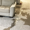 Stuart Mclean and his waterlogged flat.