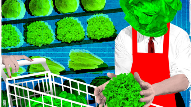 Why our supermarkets are basket cases, according to a former chief lettuce officer