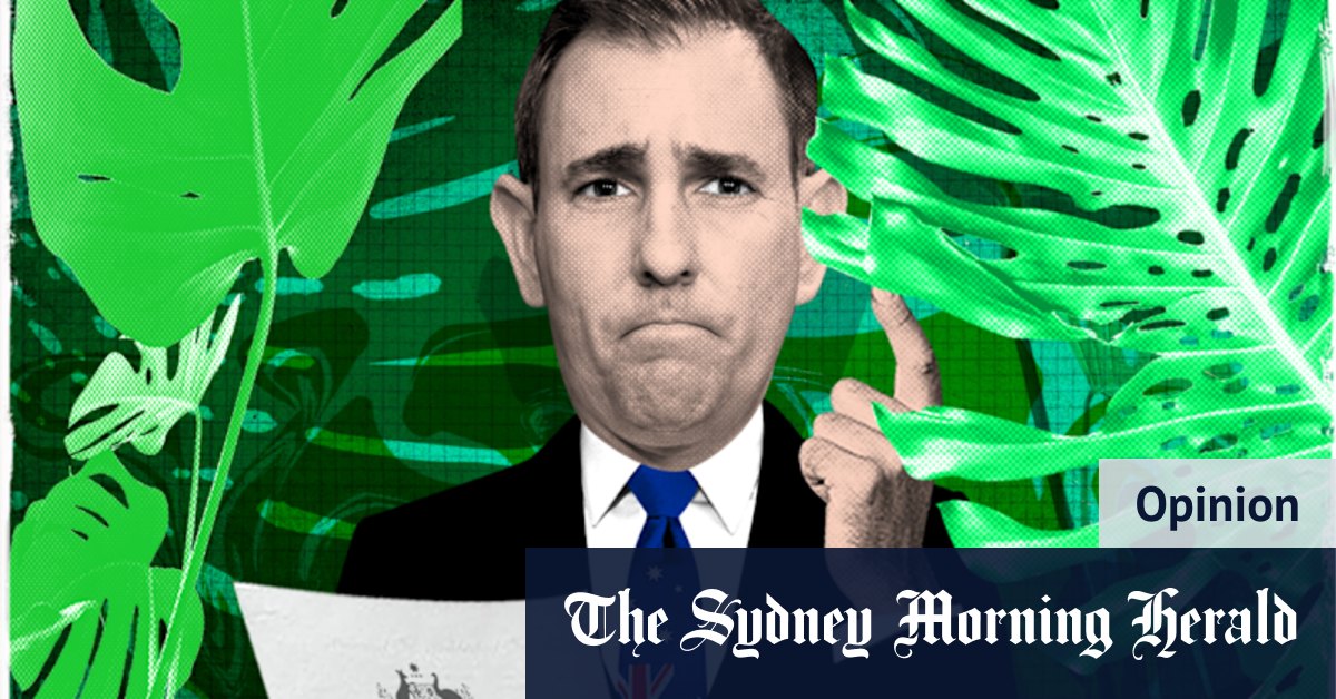 Can Treasurer Jim Chalmers find the way out of this jungle? - Vimarsana News