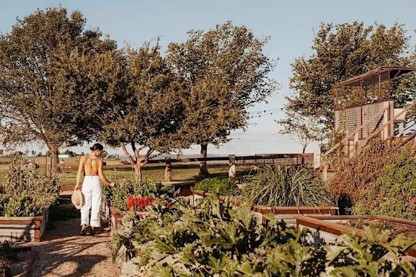 The new vegetable garden where guests can pick their own dinner accompaniments.