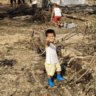 Children among wreckage, cars seen covered as tsunami swamps Tonga