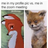 Silly Or A Secret Wellness Weapon Your Brain On Memes