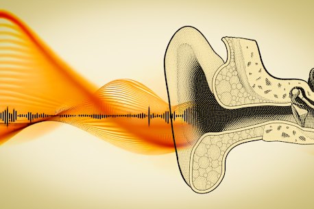 Noisy restaurants, muffled voices: How hearing loss creeps up on us