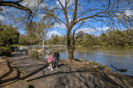 Ringwood keeps its feet on the ground as lofty future takes shape