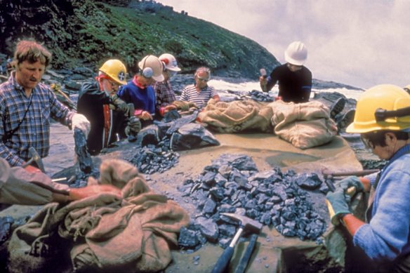 Volunteers breaking up rock in the search for fossils at Dinosaur Cove.